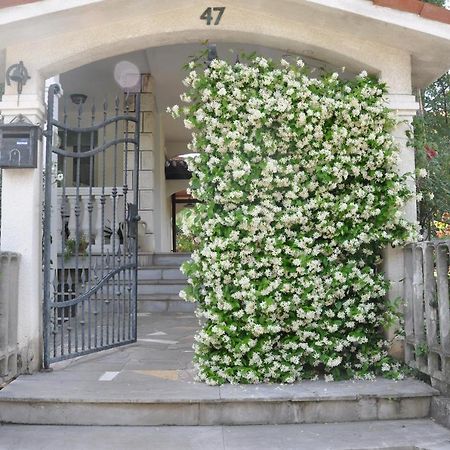 Apartmaji Stamcar Izola Buitenkant foto