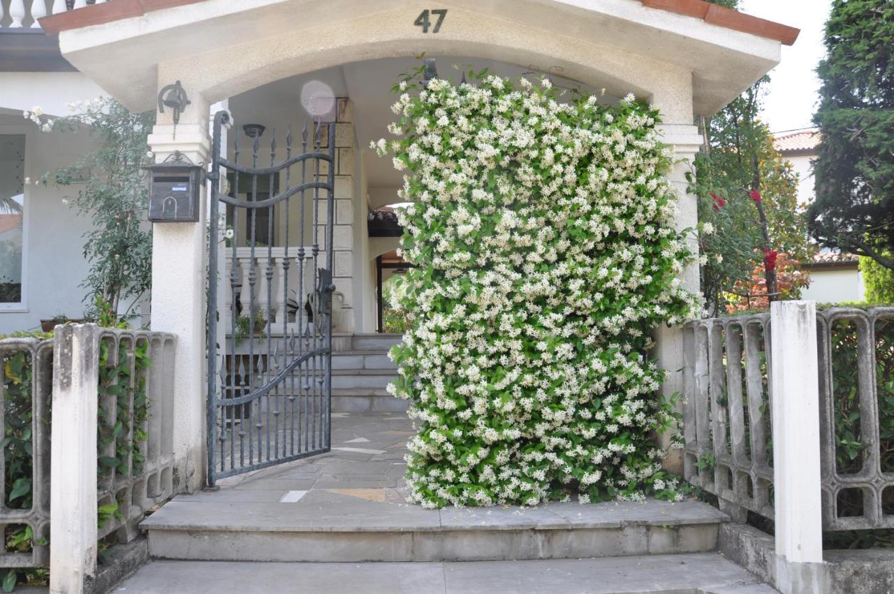 Apartmaji Stamcar Izola Buitenkant foto